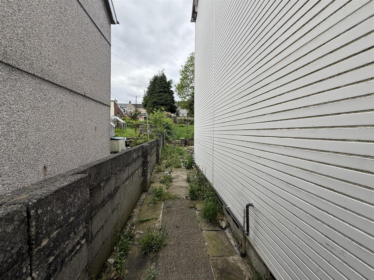 Belmont Terrace, Aberaman - IMG_9316.jpeg